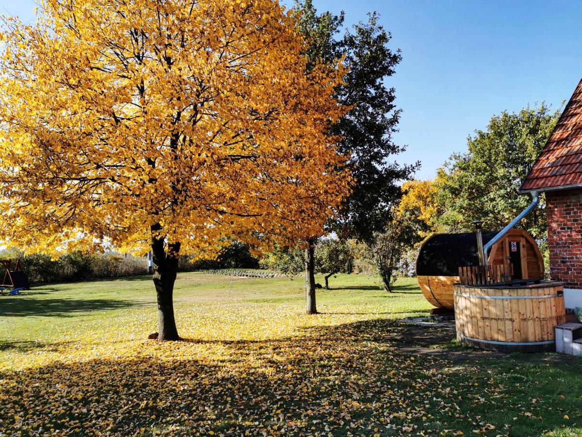 Agroturystyka Ginkgo Sulislaw  Exterior photo